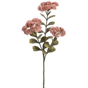 Botanic-Haus Kunstblume »Sedumzweig 3-er Set, 57 cm« Altrosa