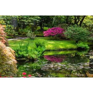 Papermoon Fototapete »GARTEN-BLUMEN BÄUME PFLANZEN STEINE WALD PARK BLÜTEN« bunt B/L: 2,50 m x 1,86 m