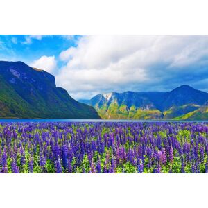 Papermoon Fototapete »FJORD-NORWEGEN GEBIRGE BLUMEN SONNE WALD FLUSS BÄUME« bunt B/L: 3,50 m x 2,60 m