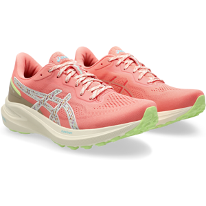 Asics Laufschuh »GT-1000 13 TR« NATURE BATHING/GUAVA 43,5