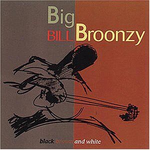 Broonzy, Big Bill - GEBRAUCHT Black,Brown and White