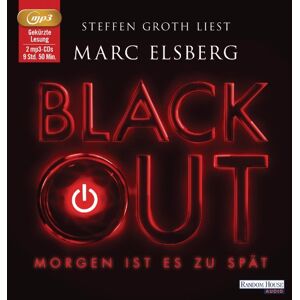 Marc Elsberg - GEBRAUCHT BLACKOUT -: Morgen ist es zu spät