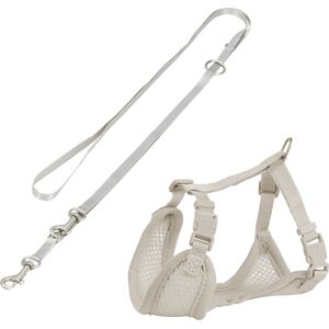 Trixie Junior Welpen-Softgeschirr mit Leine hellgrau 26-34cm/10mm, 200cm Hund
