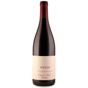 Weingut am Schlipf Schneider Weil am Rhein Ortswein Spätburgunder 2020 - 75cl