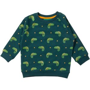 Little Green Radicals - Sweatshirt LITTLE LIZARD in grün, Gr.104