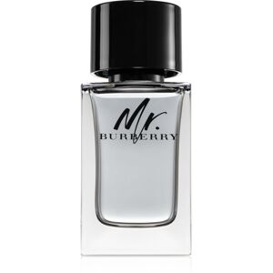 Burberry Mr. Burberry EDT für Herren 100 ml