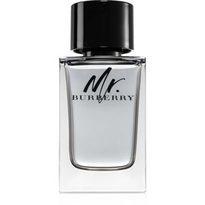 Burberry Mr. Burberry EDT für Herren 150 ml