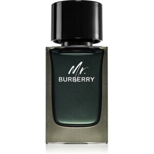 Burberry Mr. Burberry EDP für Herren 100 ml