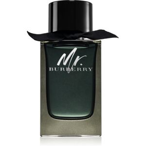 Burberry Mr. Burberry EDP für Herren 150 ml