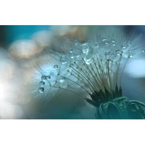 PAPERMOON Fototapete "Zen Wassertropfen mit Blume Makro" Tapeten Gr. B/L: 5,00 m x 2,80 m, Bahnen: 10 St., bunt Fototapeten