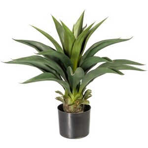 Künstliche Zimmerpflanze ANDAS "Svala" Kunstpflanzen Gr. B/H: 36 cm x 56 cm, 1 St., grün Künstliche Zimmerpflanze Zimmerpflanzen