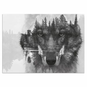 Acrylglasbild HOME AFFAIRE "Wolf" Bilder Gr. B/H: 60 cm x 40 cm, schwarz-weiß (schwarz weiß) Acrylglasbilder 6040 cm