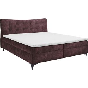 Boxbett ED EXCITING DESIGN "Melrose" Komplettbetten Gr. Microvelours Kopfteil Höhe 96, Liegefläche B/L: 160 cm x 200 cm, kein Härtegrad, lila (aubergine) Boxspringbett Boxspringbetten mit Bettkasten inkl. Topper