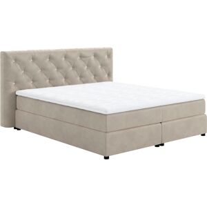 Boxspringbett COTTA "Castle", lila (pearl), B:164cm L:220cm, 100% Polyester (PES), Komplettbetten, mit Strasssteinen im Kopfteil, inkl. Topper