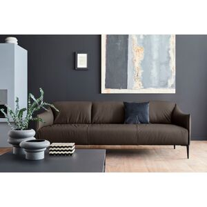 3-Sitzer W.SCHILLIG "sally" Sofas Gr. B/H/T: 224 cm x 78 cm x 84 cm, Longlife Xtra-Leder Z59, braun (braun z59) 3-Sitzer Sofas mit Metallfüßen in Schwarz pulverbeschichtet, Breite 224 cm