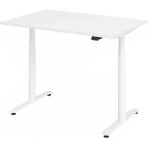 hjh OFFICE PRO XDLR 12 W 120x80 Schreibtisch elektrisch höhenverstellbar - Weiß 120 x 80 elektrisch höhenverstellbar