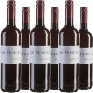 6er Vorteilspaket Framersheimer Zechberg Spätburgunder QbA mild 2023 Dr. Hinkel