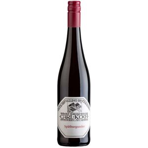 Pinot Nero Guldenmorgen Carl Koch 2021