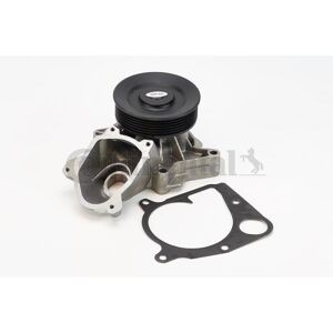 Continental Ctam Wasserpumpe Mit Dichtung (Wps3017) Für Bmw 3 6 X3 5 X6 X5 1