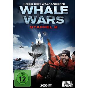 GEBRAUCHT Whale Wars - Krieg den Walfängern! Staffel 2 [3 DVDs]