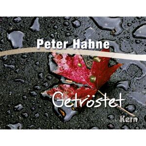 Peter Hahne - GEBRAUCHT Getröstet