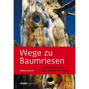 Michel Brunner - GEBRAUCHT Wege zu Baumriesen: 20 Wanderungen zu alten Bäumen der Schweiz