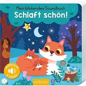 Maria Höck - GEBRAUCHT Mein blinkendes Soundbuch – Schlaft schön!: Sound mit 1 LED Die innovative Soundreihe für die Allerkleinsten ab 12 Monaten