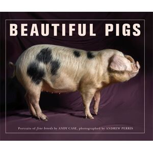 Andy Case - GEBRAUCHT Beautiful Pigs
