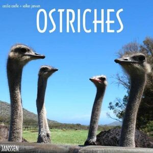 Volker Janssen - GEBRAUCHT Ostriches