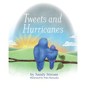 Sandy Stream - Tweets and Hurricanes (River, Band 3)