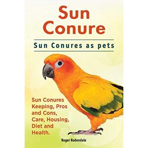 Roger Rodendale - Sun Conure. Sun Conures as pets. Sun Conures Keeping, Pros and Cons, Care, Housing, Diet and Health.