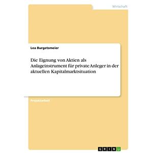 Lea Burgetsmeier - Die Eignung von Aktien als Anlageinstrument für private Anleger in der aktuellen Kapitalmarktsituation