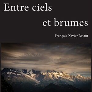 François-Xavier Driant - Entre ciels et brumes