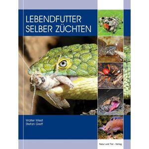 Lebendfutter selber züchten
