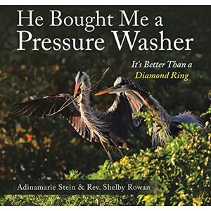 Adinamarie Stein - He Bought Me a Pressure Washer: It's Better Than a Diamond Ring