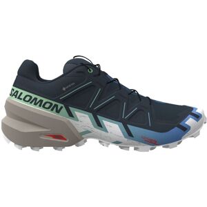 Salomon SPEEDCROSS 6 GTX W Damen Laufschuhe grau Gr. 39 1/3