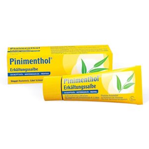 Pinimenthol Erkältungssalbe