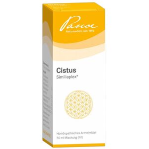 Cistus Similiaplex Mischung