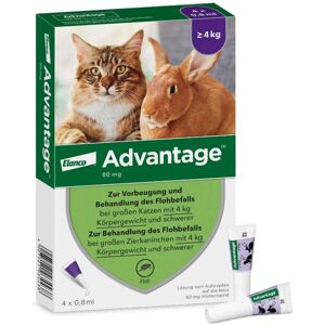 Advantage 80 mg für gr.Katzen und gr.Zierkaninchen