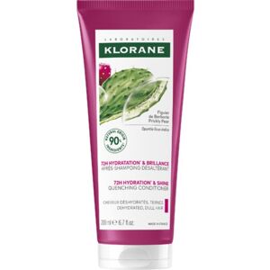 Klorane Feigenkaktus-Spülung, die stumpfes Haar beruhigt 200mL