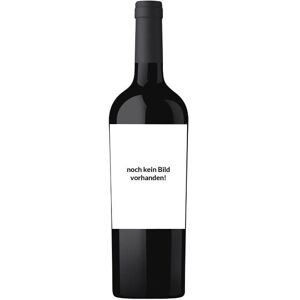 Vinedo Chadwick Vinedo 2019 0.75 L Flasche