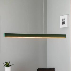 Argon LED-Hängeleuchte Broll, grün