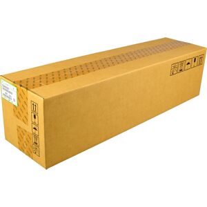 Ricoh Developer D2443021 cyan OEM original