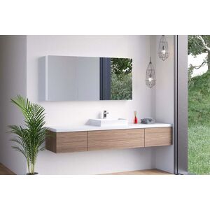 Schneider Spiegelschrank ELC1 100/2/0/SD, weiss, DE Modell, 177.100.02.02 177.100.02.02