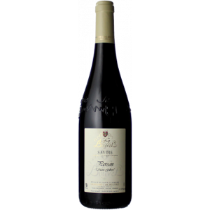 Persan Saint Gilbert 2023 - G & G Bouvet