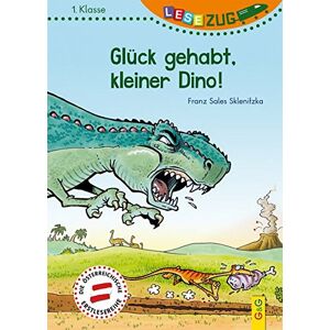 Sklenitzka, Franz Sales - GEBRAUCHT LESEZUG/1. Klasse: Glück gehabt, kleiner Dino!