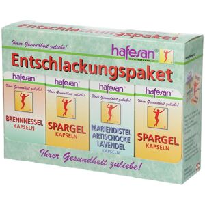 Hafesan Entschlackungspaket 1 St Kapseln