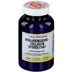 GALL PHARMA Hyaluronsäure-Collagen Hydrolysat GPH Kapseln 120 St
