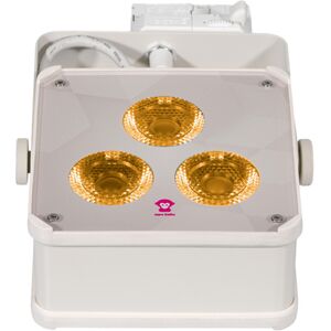 Ape Labs Track Maxi V2 45° RGBWW Creme Creme