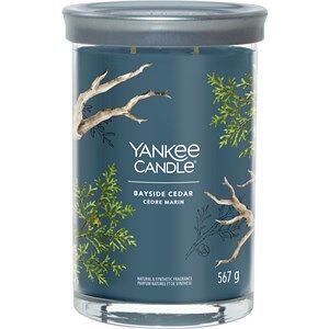 Yankee Candle Raumdüfte Tumbler Bayside Cedar